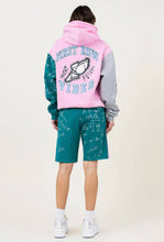 Load image into Gallery viewer, PINK, GREEN AND GREY COLOR BLOCK WELLBEING ASSOC HOODIE