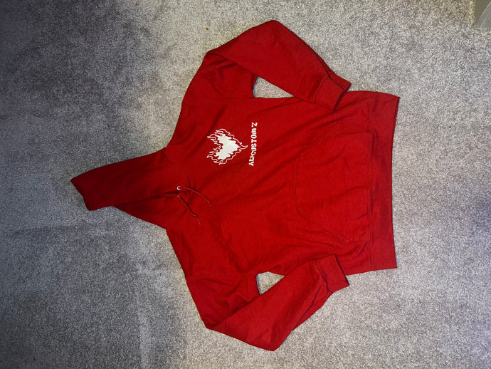 RED HOODIE | SIZE MEDIUM